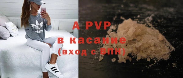 прущие крисы Абаза