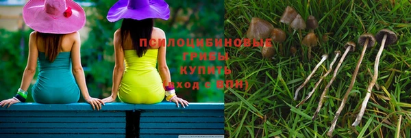 spice Алзамай