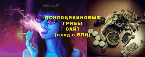 стаф Алексеевка