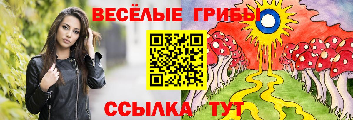 Галлюциногенные грибы MAGIC MUSHROOMS Волоколамск