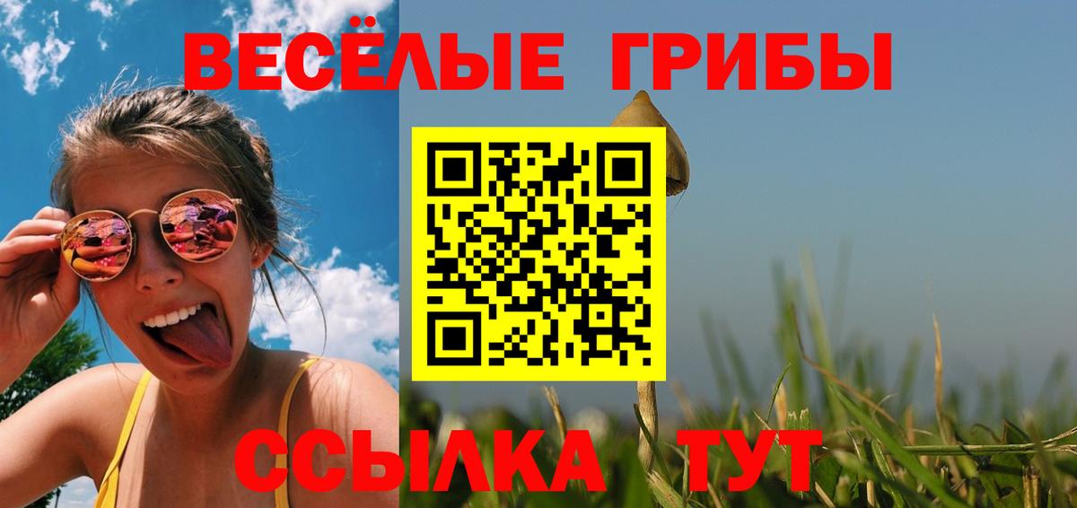 Псилоцибиновые грибы GOLDEN TEACHER  Псилоцибиновые грибы Psilocybine cubensis  Вход с VPN  Волоколамск 